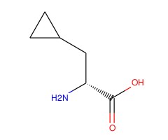 (R)-2-氨基-3-环丙基丙酸图片