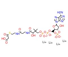 丙二酰胺辅酶A 四锂盐图片