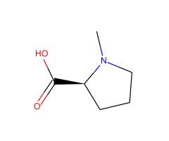 N-甲基-L-脯氨酸图片