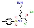 Nα-甲苯磺酰基- L -赖氨酸氯甲基酮 盐酸盐图片