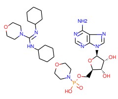 5′-一磷酸吗啡腺苷 N,N'-二环己基-4-吗啉脒盐图片