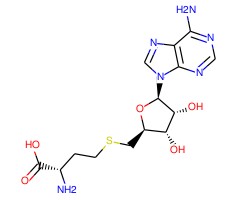 S-(5′-腺苷)-L-高半胱氨酸图片