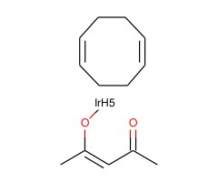抗-ATG4B 兔抗图片
