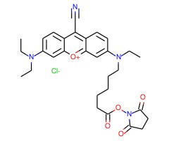 9-Cyano-N,N,N′-triethylpyronine-N′-caproic acid N-hydroxysuccinimide ester chloride图片
