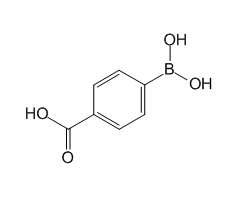 Anti-Calcium Channel (α1A Subunit) (P/Q-type of Voltage-gated Ca2+ Channel) antibody produced in rab图片
