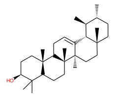 α-香树脂醇图片