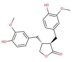 罗汉松树脂酚图片