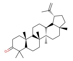 羽扇豆烯酮图片
