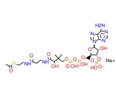 乙酰辅酶 A 钠盐图片