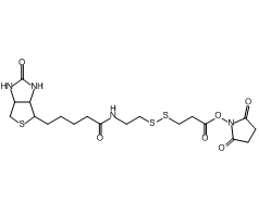 3-[3-[2-(生物素酰胺)乙基]氨基-3-氧代丙基]二硫基]丙酸琥珀酰亚胺酯图片