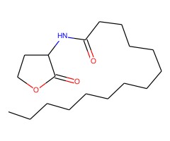 正十四酰基-DL-高丝氨酸内酯图片