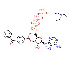 2′(3′)-O-(4-苯甲酰苯甲酰)腺苷5′-三磷酸 三乙铵盐图片
