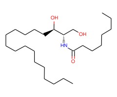 Dihydroceramide C8图片
