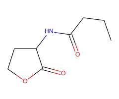 正丁酰基-DL-高丝氨酸内酯图片