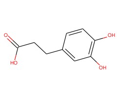 3-(3,4-二羟基苯基)丙酸图片