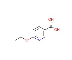 2-乙氧基吡啶-5-硼酸图片