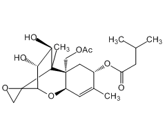 乙腈中HT-2毒素图片
