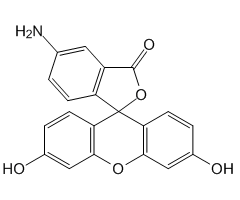 5-氨基荧光素图片