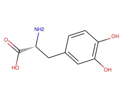 3,4-二羟基-D-苯基丙氨酸图片