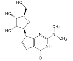 2-二甲氨基鸟苷图片