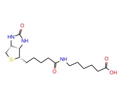 N-生物素氨基己酸图片