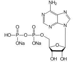 腺苷-5'-二磷酸二钠盐图片