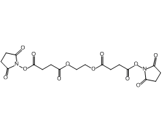 乙二醇 -双(琥珀酸 N-羟基琥珀酰亚胺酯)图片
