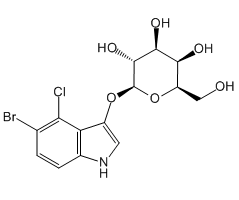 5-溴-4-氯-3-吲哚基 β-D-吡喃半乳糖苷图片
