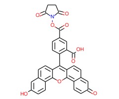 5(6)-羧基萘荧光素, 琥珀酰亚胺酯图片