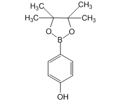 4-(4,4,5,5-四甲基-1,3,2-二氧硼杂环戊烷-2-基)苯酚图片