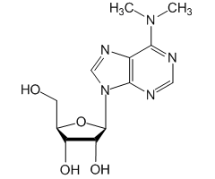 6-二甲氨基-9-(β-D-呋喃核糖)卟啉图片