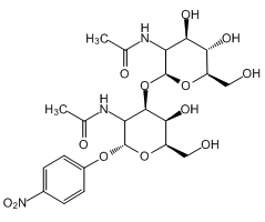 4-硝基苯基 2-乙酰氨基-3-O-(2-乙酰氨基-2-脱氧-β-D-吡喃糖)-2-脱氧-α-D-吡喃半乳糖苷图片