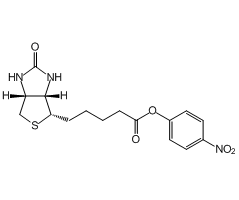 (+)-生物素 4-硝基苯酯图片