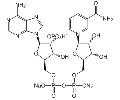 β-烟酰胺腺嘌呤二核苷酸磷酸二钠盐图片