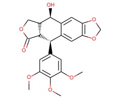 苦鬼臼毒素图片