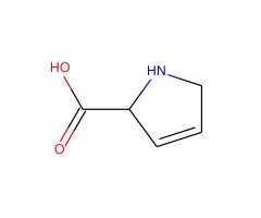 3,4-脱氢-DL-脯氨酸图片