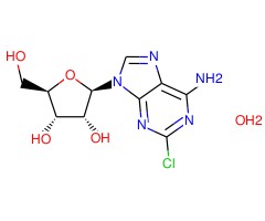 2-氯腺苷 半水合物图片
