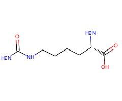 L-高瓜氨酸图片
