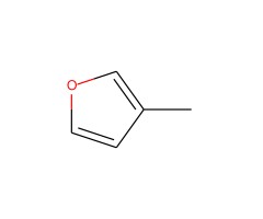 抗-α-MSH 兔抗图片