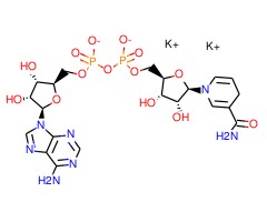还原型 β-烟酰胺腺嘌呤二核苷酸 二钾盐图片