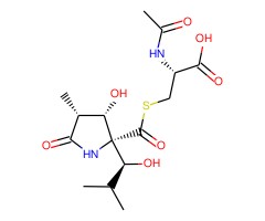 乳酸胱氨酸图片