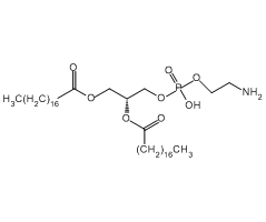 1,2-二硬脂酰基-sn-丙三基-3-磷脂酰乙醇胺图片