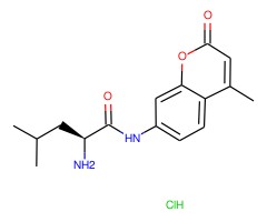 L-亮氨酸-7-氨基-4-甲基香豆素 盐酸盐图片