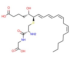 Leukotriene D4图片
