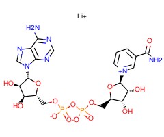 β-烟酰胺腺嘌呤二核苷酸 锂盐 来源于酿酒酵母图片