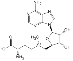 标准品/S-腺苷-L-蛋氨酸图片